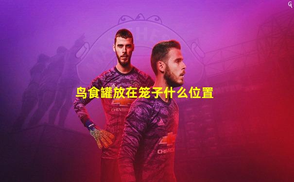 鸟食罐放在笼子什么位置